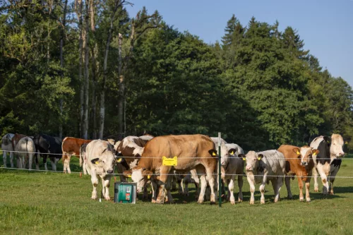 AKO DUO Power XI8000 Smart villanypásztor készülék