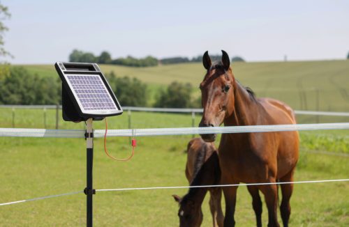 AKO Sun Power S6 villanypásztor készülék