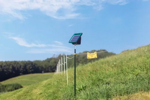 AKO SunPower S500 villanypásztor készülék - 12 V