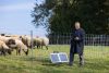 AKO SunPower S2400 Smart 12V-os villanypásztorkészülék