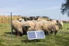 AKO SunPower S2400 Smart 12V-os villanypásztorkészülék