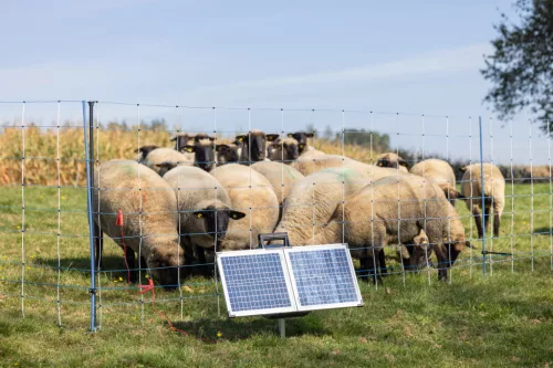 AKO SunPower S2400 Smart 12V-os villanypásztorkészülék