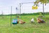 PoultryNet teljes szett, napelemmel