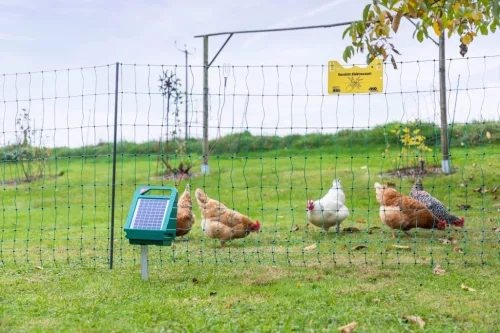 PoultryNet teljes szett, napelemmel