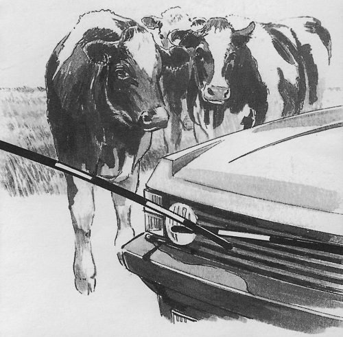 Electro Gate elektromos állatsorompó készlet villanypásztor rendszerhez - 3,6 m-es