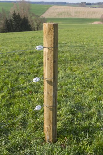 Poliamid feszítő villanypásztor szigetelő acélhuzalhoz - 10 db/cs