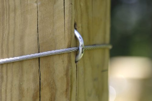 Kampószeg - 50 db, 3,8 x 47 mm, horganyzott