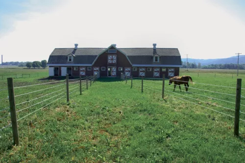 Premium Horse Wire villanypásztor vezeték