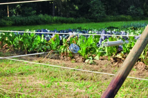 Premium Horse Wire villanypásztor vezeték