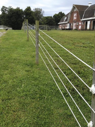 Premium Plus villanypásztor szalag - narancs/barna, 200 m x 40 mm