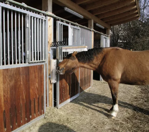 Pótrugó Texas vakarókeféhez