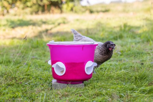 Baromfi etetővödör - áttetsző rózsaszín, 12 l, 4 etetőrésszel