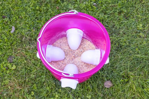 Baromfi etetővödör - áttetsző rózsaszín, 12 l, 4 etetőrésszel