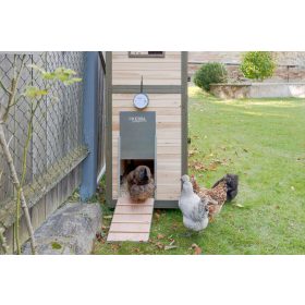   Duo Smart automata baromfiajtó - 70560-as ajtóval, 220x330 mm, S