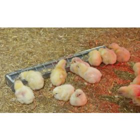   Win Balance horganyzott etetővályúk csirkéknek - 50 x 7 cm