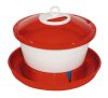 Rapid Clean baromfi itató - 6 l