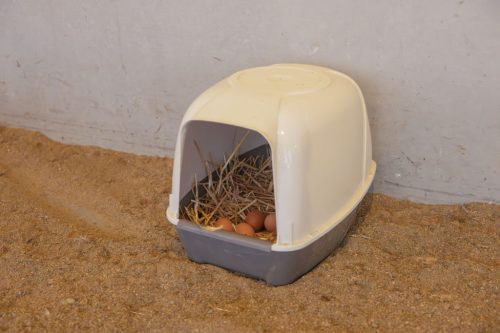 Tojófészek - 52 x 39 x 39 cm