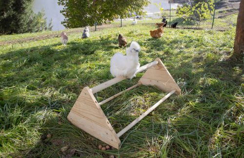 Ülőrúd baromfinak - 96 x 50 x 35 cm, fa