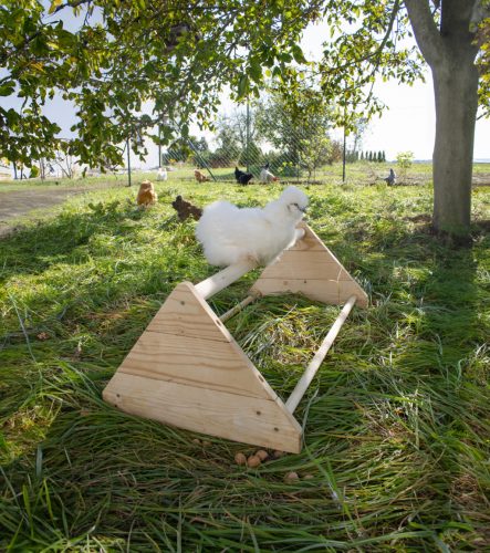 Ülőrúd baromfinak - 96 x 50 x 35 cm, fa