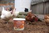 IdaPlus Mineral Grit Mix takarmánykiegészítő szárnyasoknak - 5 kg