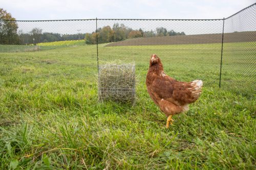 Szénatartó állvány - baromfinak, 26x19x34 cm, fém