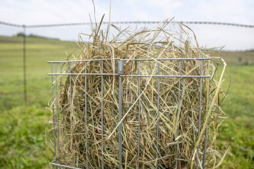 Szénatartó állvány - baromfinak, 36x24x50 cm, fém