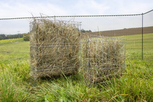 Szénatartó állvány - baromfinak, 36x24x50 cm, fém