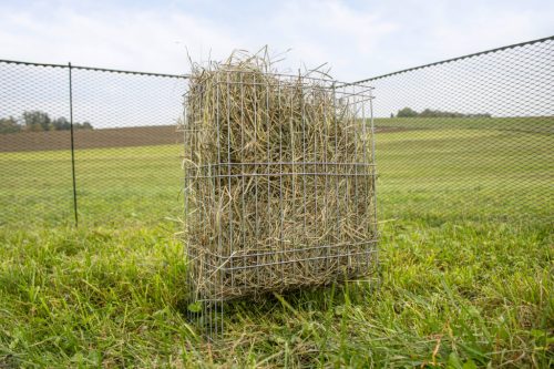 Szénatartó állvány - baromfinak, 36x24x50 cm, fém