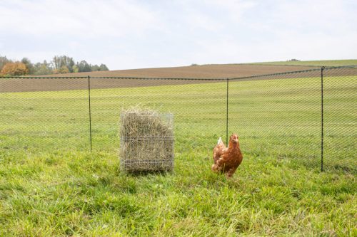 Szénatartó állvány - baromfinak, 36x24x50 cm, fém