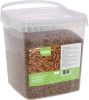 Szárított lisztkukac - 900 g
