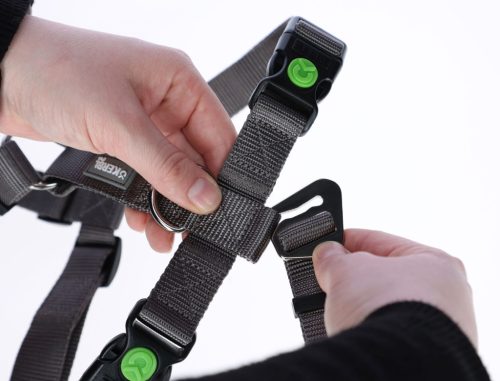 Miami Panic kutyahám - szürke, 15 mm, 38-52 cm