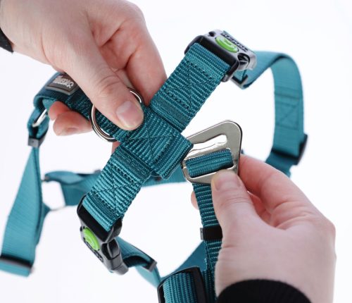 Miami Panic kutyahám - petrol, 15 mm, 38-52 cm