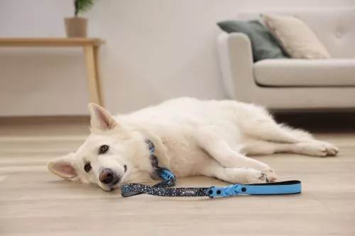 Lima póráz - kék/fekete,  25 mm x 100 cm