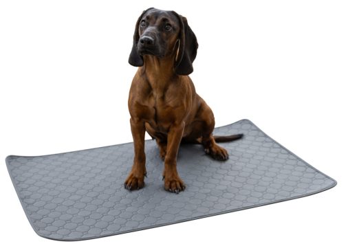 Mosható lap szobatisztaságra szoktatáshoz - szürke, 60x45 cm