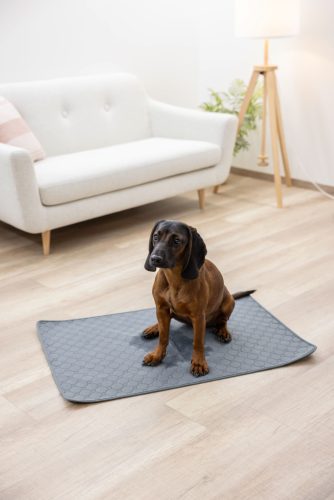 Mosható lap szobatisztaságra szoktatáshoz - szürke, 90x60 cm