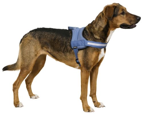 Meastro 2.0 kutyahám - kék, 20 mm x 57-77 cm