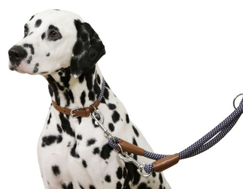 Phoenix nyakörv, kék, 9 mm / 40-55 cm, Méret: M