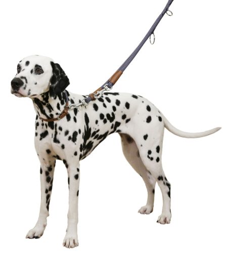 Phoenix nyakörv, kék, 9 mm / 40-55 cm, Méret: M