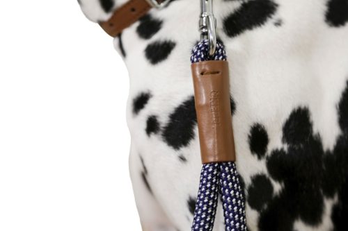 Phoenix póráz - kék, 14 mm / 35 cm