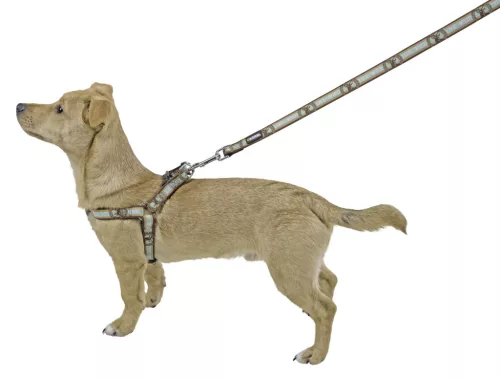 Wild Life kutyahám - barna, 20 mm / 35-60 cm