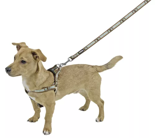 Wild Life kutyahám - barna, 25 mm / 50-80 cm