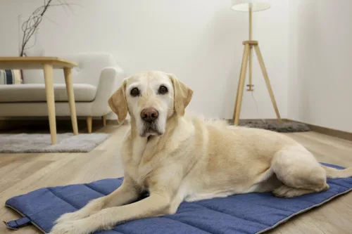 Marie matrac utazáshoz - szürke/kék, 112x67 cm