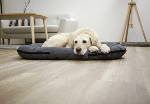 Oxford Place fekhely - szürke, 120 x 85 x 17 cm