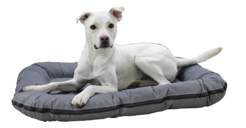 Oxford Place fekhely - szürke, 120 x 85 x 17 cm