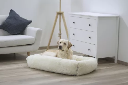 Fluffy kutyaágy - krém színű, 60 x 40 cm