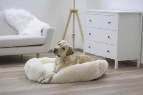 Fluffy kutyaágy - krém színű, 100 x 70 cm