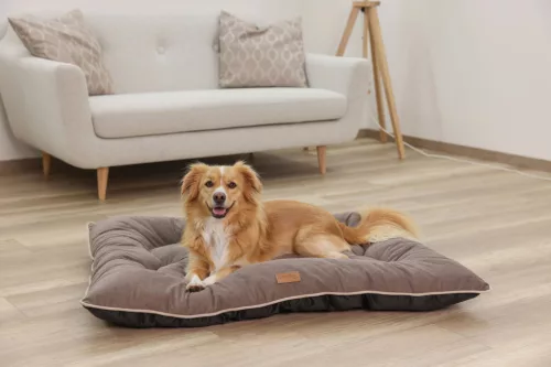 Benno kutyapárna - barna,  80 x 60 cm