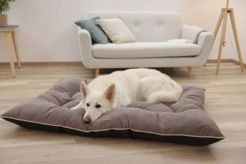 Benno kutyapárna - barna,  80 x 60 cm