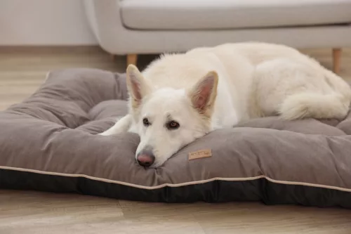 Benno kutyapárna - barna,  80 x 60 cm