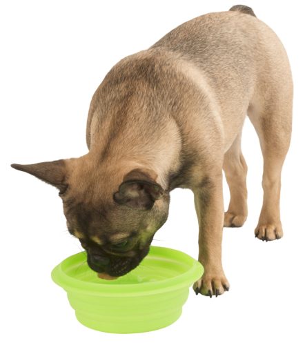 Összecsukható szilikon tál utazáshoz - zöld, 1000 ml